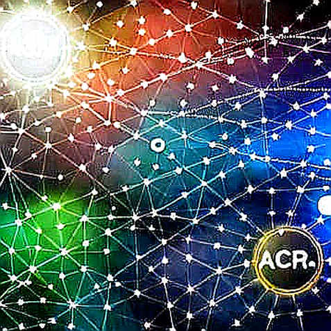 KuCoin Pay: A Pragmatic Bridge or a Centralized Dead End?