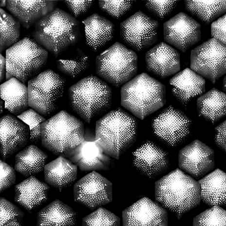 The Iran Crisis Unlocks a New Narrative: Crypto's Sanction Evasion Spotlight The Iran Crisis Unlocks a New Narrative: Crypto's Sanction Evasion Spotlight