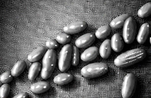 The 8.5% Illusion: Why Prediction Market Probabilities Are Not Truth Oracles