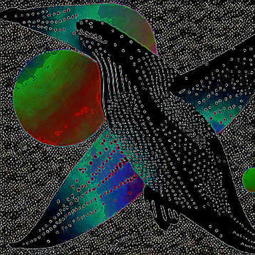The $9 Million Phantom: Polymarket's Compliance Mirage and the On-Chain Trail of an Unidentified Whale