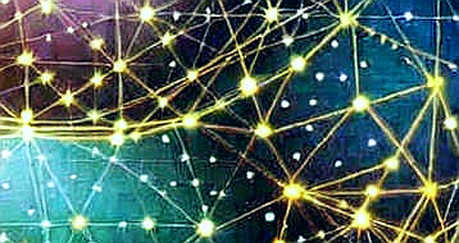 The AI Token Mirage: Why 80% of Compute Claims Are Just API Calls The AI Token Mirage: Why 80% of Compute Claims Are Just API Calls