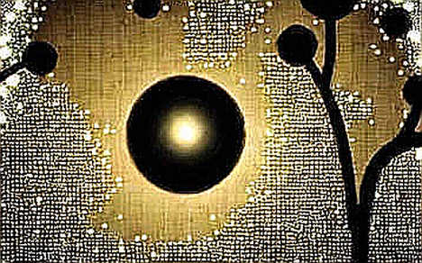 The Optical Gateway: Zhongji Innolight’s Hong Kong IPO Exposes the Hidden Infrastructure Bottleneck for Decentralized AI The Optical Gateway: Zhongji Innolight’s Hong Kong IPO Exposes the Hidden Infrastructure Bottleneck for Decentralized AI