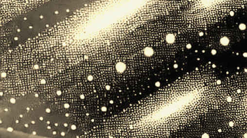 The Whale Ledger: Micron Metaphor and the Decentralized Storage Mirage The Whale Ledger: Micron Metaphor and the Decentralized Storage Mirage